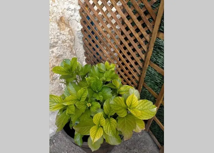 Hébergement de vacances La Pena En Unquera